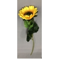 Sunflower 22"